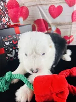 processed/3f372f00-9c60-473f-825a-91d138fc786a/listing/00268c90-1a7c-45b6-8e90-da12056b05e2/f7fbebd3-044d-411f-8da8-0e7848e05a07