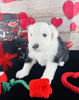 processed/3f372f00-9c60-473f-825a-91d138fc786a/listing/377a3cdd-ec07-4eb3-997f-d29f24ff9f9c/031b1946-f3b9-4c1c-8ba7-f6103baa937e