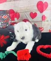 processed/3f372f00-9c60-473f-825a-91d138fc786a/listing/377a3cdd-ec07-4eb3-997f-d29f24ff9f9c/48606a27-c891-4e2a-b112-29fd7638f2c5