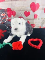 processed/3f372f00-9c60-473f-825a-91d138fc786a/listing/377a3cdd-ec07-4eb3-997f-d29f24ff9f9c/9597ae09-aee5-450b-87fb-041717fb421c