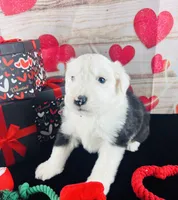 processed/3f372f00-9c60-473f-825a-91d138fc786a/listing/377a3cdd-ec07-4eb3-997f-d29f24ff9f9c/d94838cd-8e29-466a-84e6-111a50f389c6