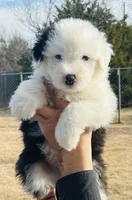 processed/3f372f00-9c60-473f-825a-91d138fc786a/listing/45464a5b-11d6-43b8-bc65-bc83c5c34481/6f14ef8c-e04c-4f15-8ba7-351d8b7db132