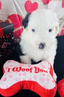 processed/3f372f00-9c60-473f-825a-91d138fc786a/listing/45464a5b-11d6-43b8-bc65-bc83c5c34481/7e739258-3233-4a2a-9eb7-69d41f04695d