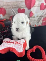 processed/3f372f00-9c60-473f-825a-91d138fc786a/listing/45464a5b-11d6-43b8-bc65-bc83c5c34481/a37d0e44-443d-450d-ad05-5d391dbcdc40