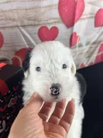 processed/3f372f00-9c60-473f-825a-91d138fc786a/listing/45464a5b-11d6-43b8-bc65-bc83c5c34481/e877f5f3-0281-47c8-9122-b34ae6a28ac4