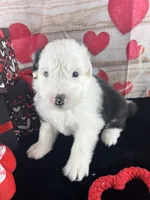 processed/3f372f00-9c60-473f-825a-91d138fc786a/listing/45464a5b-11d6-43b8-bc65-bc83c5c34481/fb3a1fd5-a60c-4b70-a6c7-cb76d2a24a79