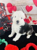 processed/3f372f00-9c60-473f-825a-91d138fc786a/listing/493eba09-a7f7-4af0-95e6-14f65aaf6584/9902f393-b85a-48fb-b911-ae5fac0f7af2