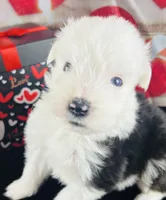 processed/3f372f00-9c60-473f-825a-91d138fc786a/listing/493eba09-a7f7-4af0-95e6-14f65aaf6584/a16f9181-1a42-430e-b1d2-b4eb20ae4ec3