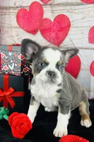 processed/3f372f00-9c60-473f-825a-91d138fc786a/listing/6a496eef-4cf1-4d6c-99cd-cafa861c50e7/259e255d-1141-4b24-b32e-bd57712c3d82