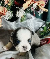 processed/3f372f00-9c60-473f-825a-91d138fc786a/listing/6a496eef-4cf1-4d6c-99cd-cafa861c50e7/3526069b-8562-408a-b8d6-3cf2bfca8e06