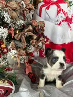 processed/3f372f00-9c60-473f-825a-91d138fc786a/listing/6a496eef-4cf1-4d6c-99cd-cafa861c50e7/43b7b19c-1a02-434d-8a7a-e1f2d3e157f0