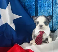 processed/3f372f00-9c60-473f-825a-91d138fc786a/listing/6a496eef-4cf1-4d6c-99cd-cafa861c50e7/6f2e003f-9ac8-4c42-9dc0-7f07f7020152