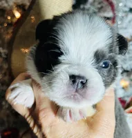 processed/3f372f00-9c60-473f-825a-91d138fc786a/listing/6a496eef-4cf1-4d6c-99cd-cafa861c50e7/97efe1e1-6939-4dd3-b184-04661507f020