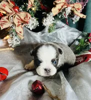 processed/3f372f00-9c60-473f-825a-91d138fc786a/listing/6a496eef-4cf1-4d6c-99cd-cafa861c50e7/aeed6237-efca-4374-8a22-2d904ccaf2ee