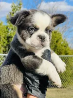 processed/3f372f00-9c60-473f-825a-91d138fc786a/listing/6a496eef-4cf1-4d6c-99cd-cafa861c50e7/e5f4b615-38ad-4083-9f6a-ac835ebca3a6