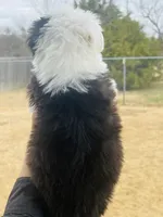 processed/3f372f00-9c60-473f-825a-91d138fc786a/listing/6ce7e171-36f7-433b-886e-0656c870ab0e/1b5e8a2c-281f-41d4-8acc-b908fc39032b