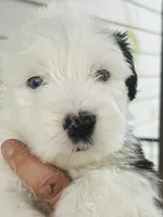 processed/3f372f00-9c60-473f-825a-91d138fc786a/listing/6ce7e171-36f7-433b-886e-0656c870ab0e/adb88ca8-d4c3-441f-9d34-7f6ca1d8a61d