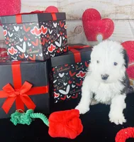 processed/3f372f00-9c60-473f-825a-91d138fc786a/listing/6ce7e171-36f7-433b-886e-0656c870ab0e/af76d9d8-e9a7-4f02-a89c-38ef21e29b4b