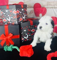 processed/3f372f00-9c60-473f-825a-91d138fc786a/listing/6ce7e171-36f7-433b-886e-0656c870ab0e/c3411faa-21bb-4242-8756-bccfbc87fa53