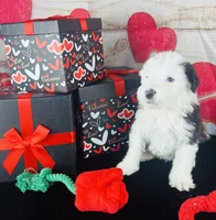 processed/3f372f00-9c60-473f-825a-91d138fc786a/listing/6ce7e171-36f7-433b-886e-0656c870ab0e/d9ebd993-dae6-48cd-887c-fac85765e32d