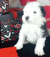 processed/3f372f00-9c60-473f-825a-91d138fc786a/listing/6ce7e171-36f7-433b-886e-0656c870ab0e/dfcce98d-d8e5-469c-b75e-67acda2a671b