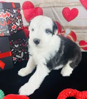 processed/3f372f00-9c60-473f-825a-91d138fc786a/listing/a50642e0-2ff8-4c96-a9e7-038b0da8d18f/9296c667-e66b-4b69-b30f-4492d514841d