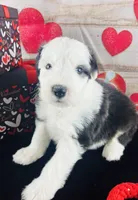 processed/3f372f00-9c60-473f-825a-91d138fc786a/listing/a50642e0-2ff8-4c96-a9e7-038b0da8d18f/a1021f97-cf2c-4df2-9e70-5255afbe4a4b