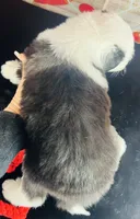 processed/3f372f00-9c60-473f-825a-91d138fc786a/listing/a50642e0-2ff8-4c96-a9e7-038b0da8d18f/c96c8468-bc1d-4984-a607-4f57f49bb6d1