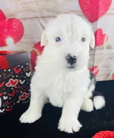 processed/3f372f00-9c60-473f-825a-91d138fc786a/listing/c5115f47-06c9-4b12-b52c-b89113a29ce5/3f615b3e-10fc-4fc7-a612-3e031e8d8978