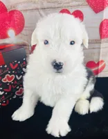 processed/3f372f00-9c60-473f-825a-91d138fc786a/listing/c5115f47-06c9-4b12-b52c-b89113a29ce5/67cc9ddb-ad0f-4576-9b09-6ff6c77af049