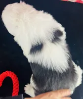 processed/3f372f00-9c60-473f-825a-91d138fc786a/listing/c5115f47-06c9-4b12-b52c-b89113a29ce5/db2bf12b-934b-4140-9ee9-4b910776fb07