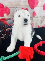 processed/3f372f00-9c60-473f-825a-91d138fc786a/listing/e5a77f3e-f5c7-415b-8316-5b07a5019d1f/547f1c03-f2a2-470a-b4b9-175623cac884