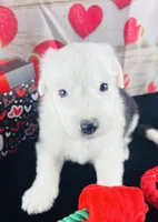 processed/3f372f00-9c60-473f-825a-91d138fc786a/listing/e5a77f3e-f5c7-415b-8316-5b07a5019d1f/6ba9b079-7e5c-4332-bad3-d5305f9721d9