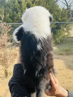 processed/3f372f00-9c60-473f-825a-91d138fc786a/listing/e5a77f3e-f5c7-415b-8316-5b07a5019d1f/74b6b185-fe1d-4401-8dd8-0244d1d9d1ef