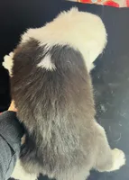 processed/3f372f00-9c60-473f-825a-91d138fc786a/listing/e5a77f3e-f5c7-415b-8316-5b07a5019d1f/881c61d1-a3a3-4d9a-ae0d-4ec204ead3e7