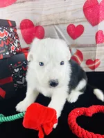 processed/3f372f00-9c60-473f-825a-91d138fc786a/listing/e5a77f3e-f5c7-415b-8316-5b07a5019d1f/8b2a69ca-c504-4a76-805e-b3dc664e3657