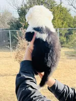 processed/3f372f00-9c60-473f-825a-91d138fc786a/listing/f0fee9a5-90a2-4ea5-8572-5eba4231c829/32374bb8-73ab-415a-9451-982ce148a4a8