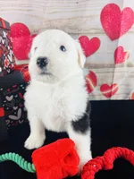 processed/3f372f00-9c60-473f-825a-91d138fc786a/listing/f0fee9a5-90a2-4ea5-8572-5eba4231c829/4264c8ab-ad0e-4f85-917f-7b5290acfe32