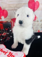 processed/3f372f00-9c60-473f-825a-91d138fc786a/listing/f0fee9a5-90a2-4ea5-8572-5eba4231c829/807e2401-0cbd-4e51-87f1-67505743a911