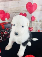 processed/3f372f00-9c60-473f-825a-91d138fc786a/listing/f0fee9a5-90a2-4ea5-8572-5eba4231c829/b41f7585-27c8-47eb-a566-e8dd5f01a84d