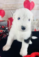 processed/3f372f00-9c60-473f-825a-91d138fc786a/listing/f0fee9a5-90a2-4ea5-8572-5eba4231c829/da2b20b1-b644-4ff6-a4e5-b7f27283acd5