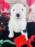 processed/3f372f00-9c60-473f-825a-91d138fc786a/listing/f0fee9a5-90a2-4ea5-8572-5eba4231c829/f2f5189c-d60e-4f15-87dd-cb6b6e492f4a