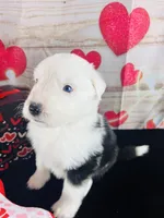 processed/3f372f00-9c60-473f-825a-91d138fc786a/listing/f0fee9a5-90a2-4ea5-8572-5eba4231c829/f6311c7c-c43a-4c80-a2e1-c89e42f70821