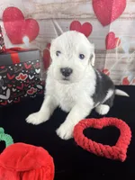 processed/3f372f00-9c60-473f-825a-91d138fc786a/listing/f2e3d454-6a06-44de-9eb9-138ff11a81f0/40c85047-a64a-4f81-b324-6ffff6f428a9