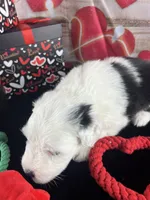 processed/3f372f00-9c60-473f-825a-91d138fc786a/listing/f2e3d454-6a06-44de-9eb9-138ff11a81f0/453d0178-62ca-4db8-a4d4-9f40f746b9b2