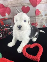 processed/3f372f00-9c60-473f-825a-91d138fc786a/listing/f2e3d454-6a06-44de-9eb9-138ff11a81f0/b1c6626a-cbd3-4aa2-a600-9afe2513fc1f