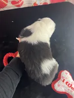 processed/3f372f00-9c60-473f-825a-91d138fc786a/listing/f2e3d454-6a06-44de-9eb9-138ff11a81f0/e1c7e94e-1c5b-450e-b817-e58be1260ace