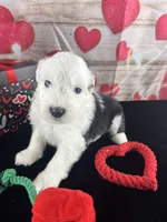 processed/3f372f00-9c60-473f-825a-91d138fc786a/listing/f2e3d454-6a06-44de-9eb9-138ff11a81f0/f7b4c621-e8e0-4e97-b73d-22ebbb8cfa11