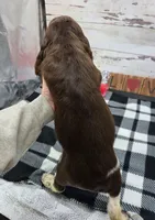 processed/3f414b0a-73a6-4460-b4b8-fd0617085ae9/listing/4f8d4413-d41f-47d3-91d9-2796acb3d6a7/48a96c47-94d2-4ee1-bb5b-33fc850498ab