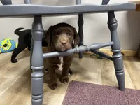 processed/3f414b0a-73a6-4460-b4b8-fd0617085ae9/listing/56513ab2-8156-4597-b866-b82bfb878023/a3c5009c-782f-4e62-89bc-6e12f655a26b